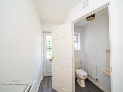 Picture 16